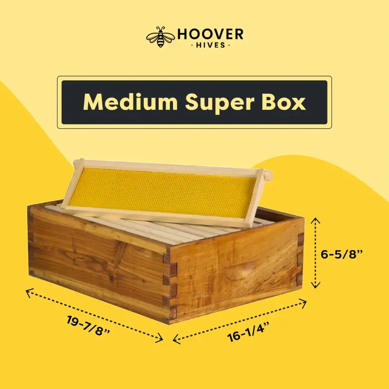 Zestaw do samodzielnego złożenia ula firmy Hoover Hives, pokryty woskiem pszczelim, dla początkujących.