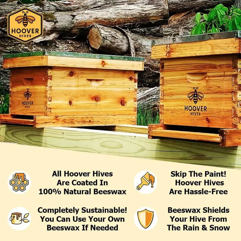 Zestaw do samodzielnego złożenia ula firmy Hoover Hives, pokryty woskiem pszczelim, dla początkujących.
