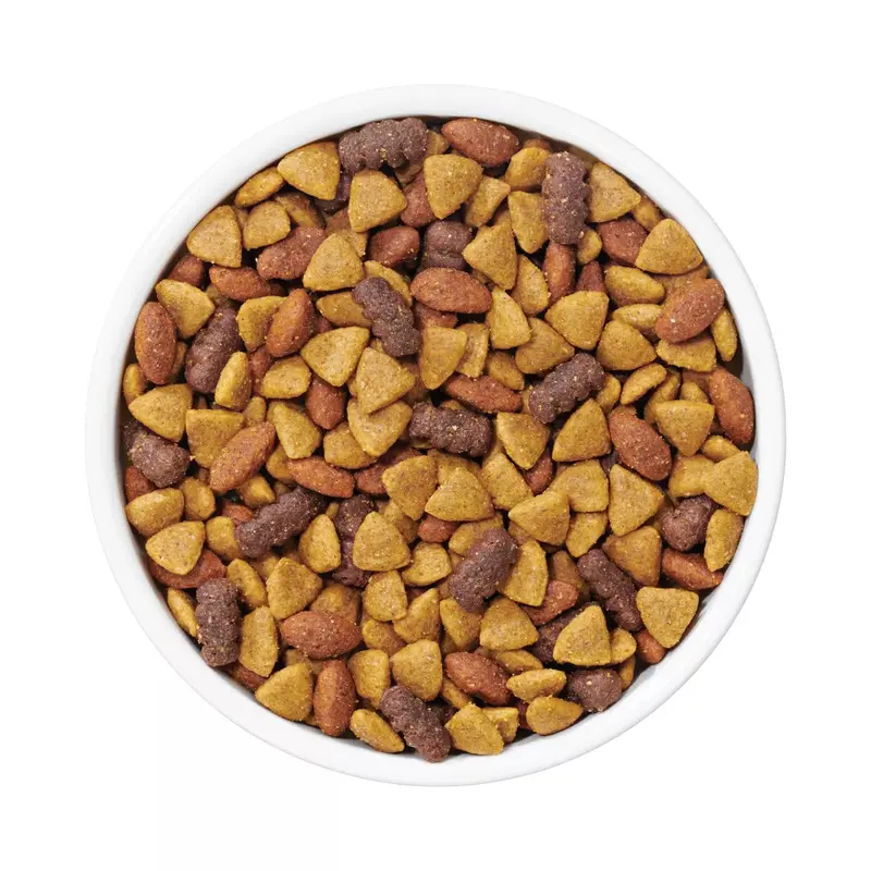 Purina Dog Chow Complete Adult Lamb and Rice, sucha karma o wysokiej zawartości białka, 20 kg