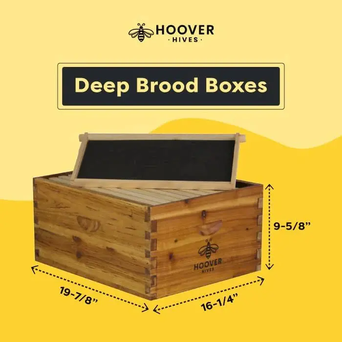Zestaw do samodzielnego złożenia ula firmy Hoover Hives, pokryty woskiem pszczelim, dla początkujących.